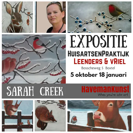 Dieren in de Winter