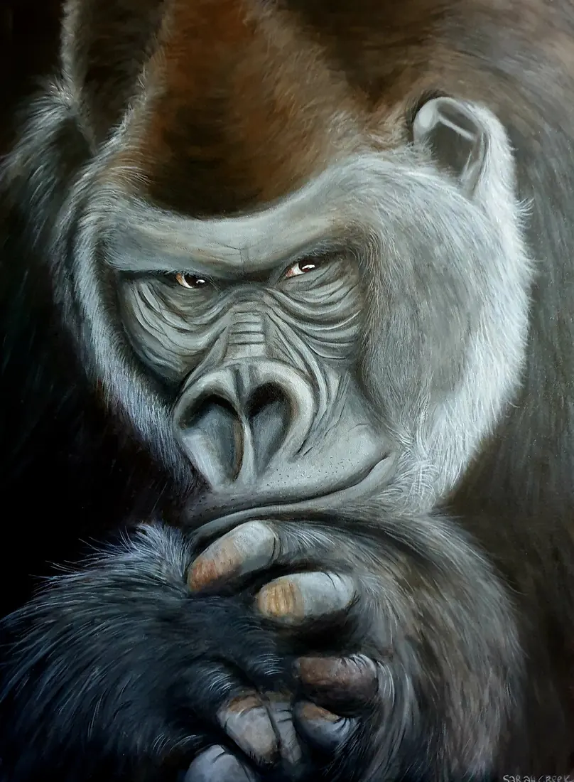 Bokito, Portrait of Bokito the gorilla