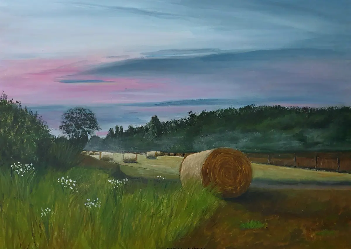 Ochtendgloren op het Bargerveen, Landschap van het Bargerveen in Drenthe
Foto referentie: Bennie Bergman