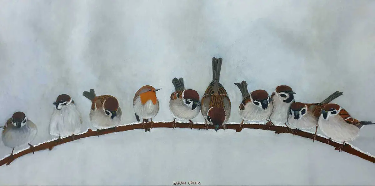 Intruder, Robin among the sparrows