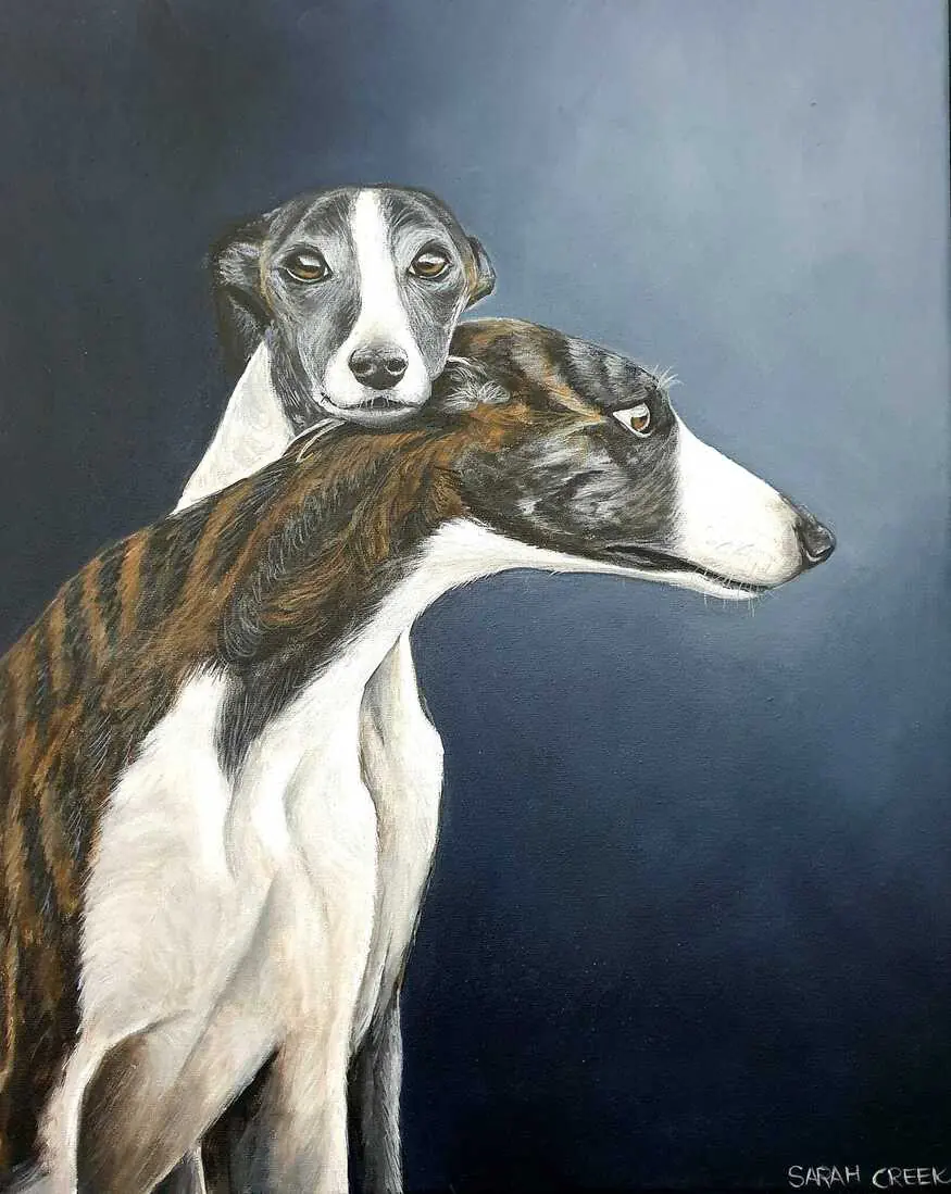 Whippets, Whippets