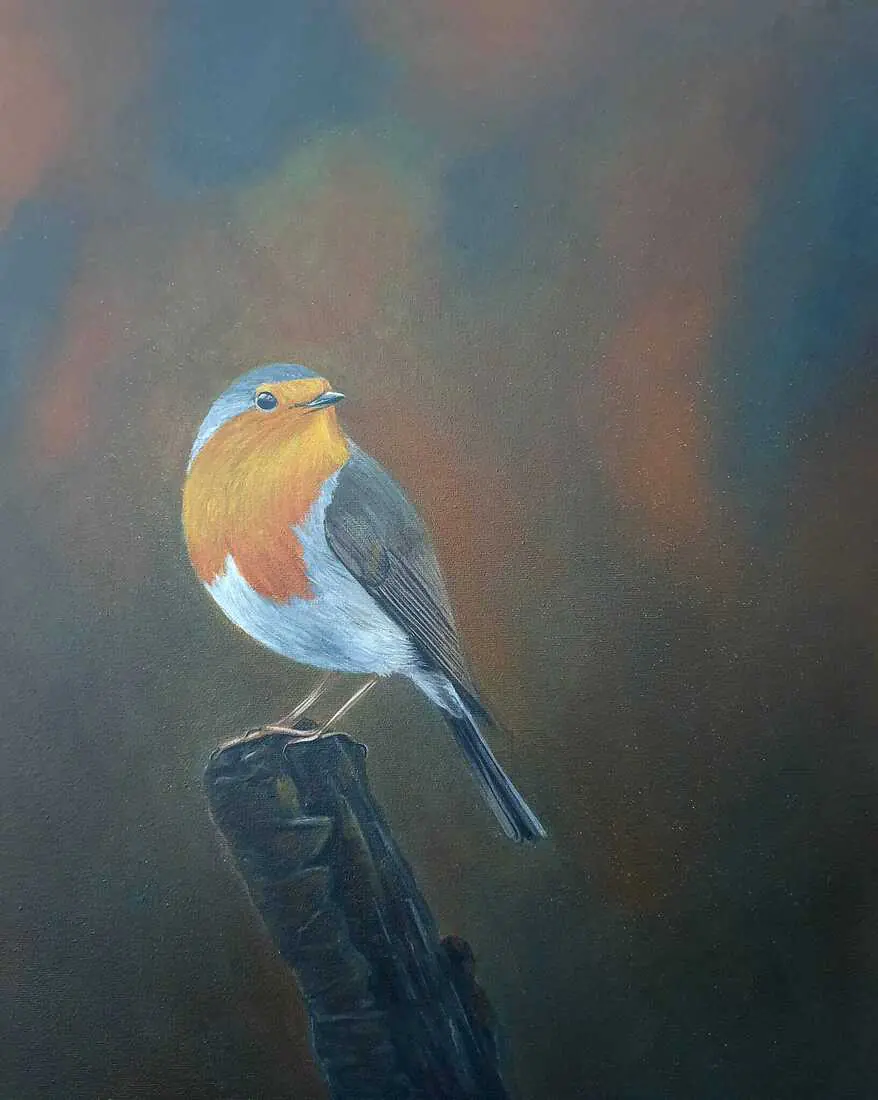 Povertje, Robin on a branch