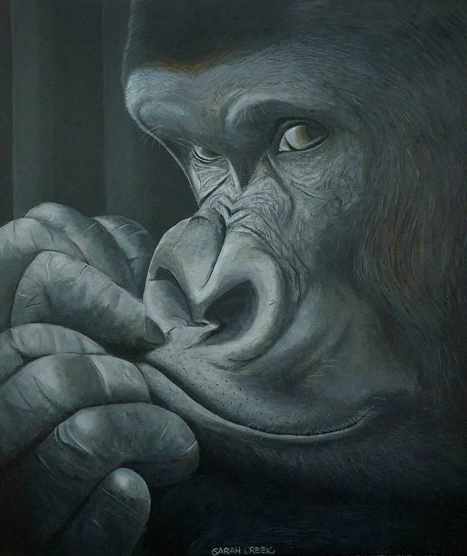 De denker, Gorilla