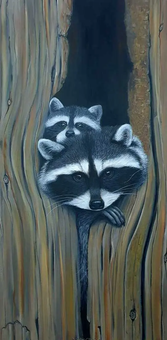 Nature's curiosaty, Wasbeertjes