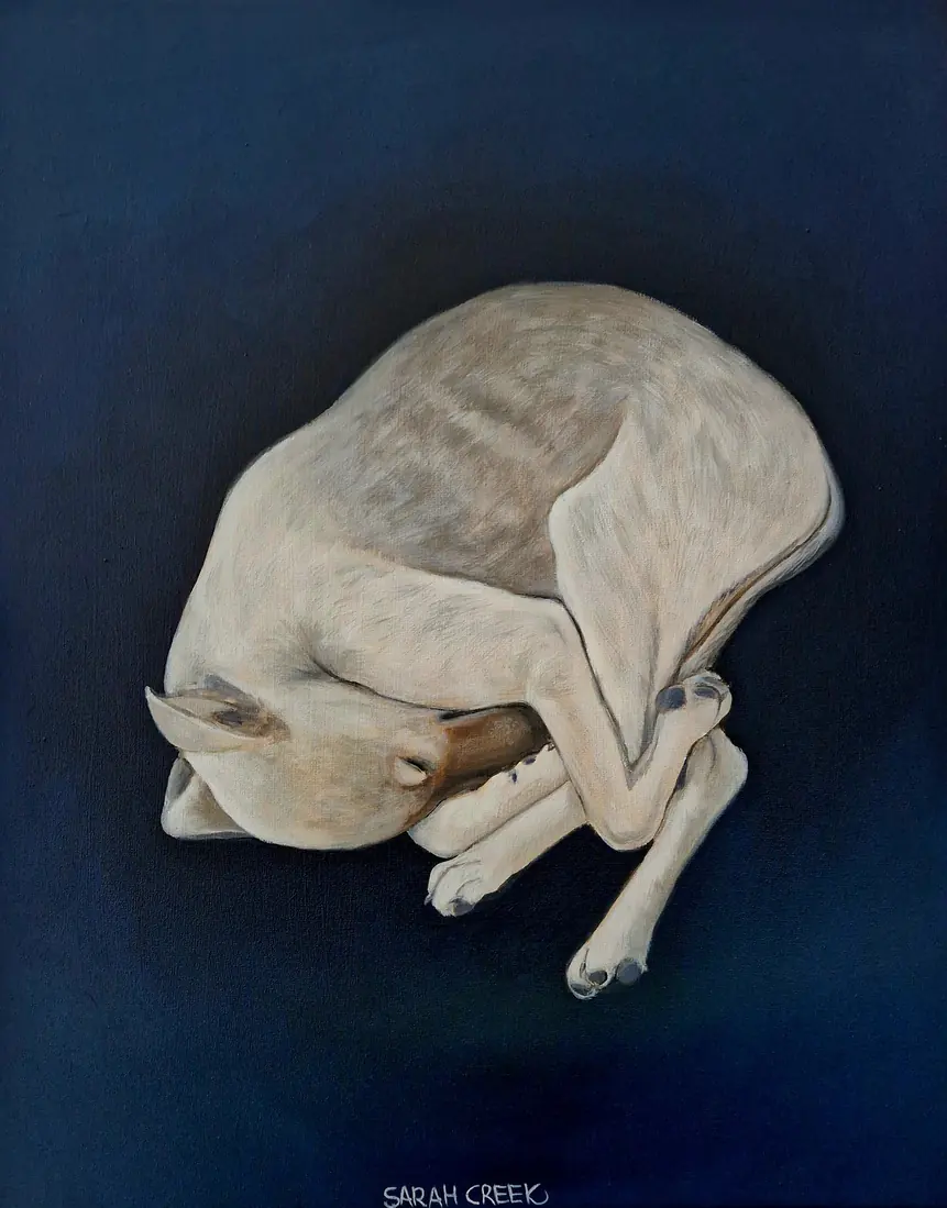 Sleeping Beauty, Slapende whippet pup
