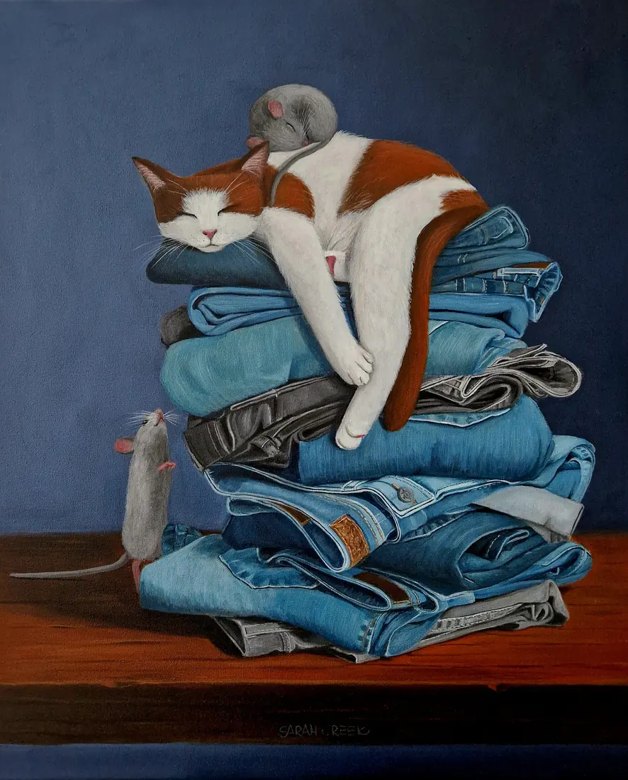 Sleeping on the job, Cat on a pile of jeans
