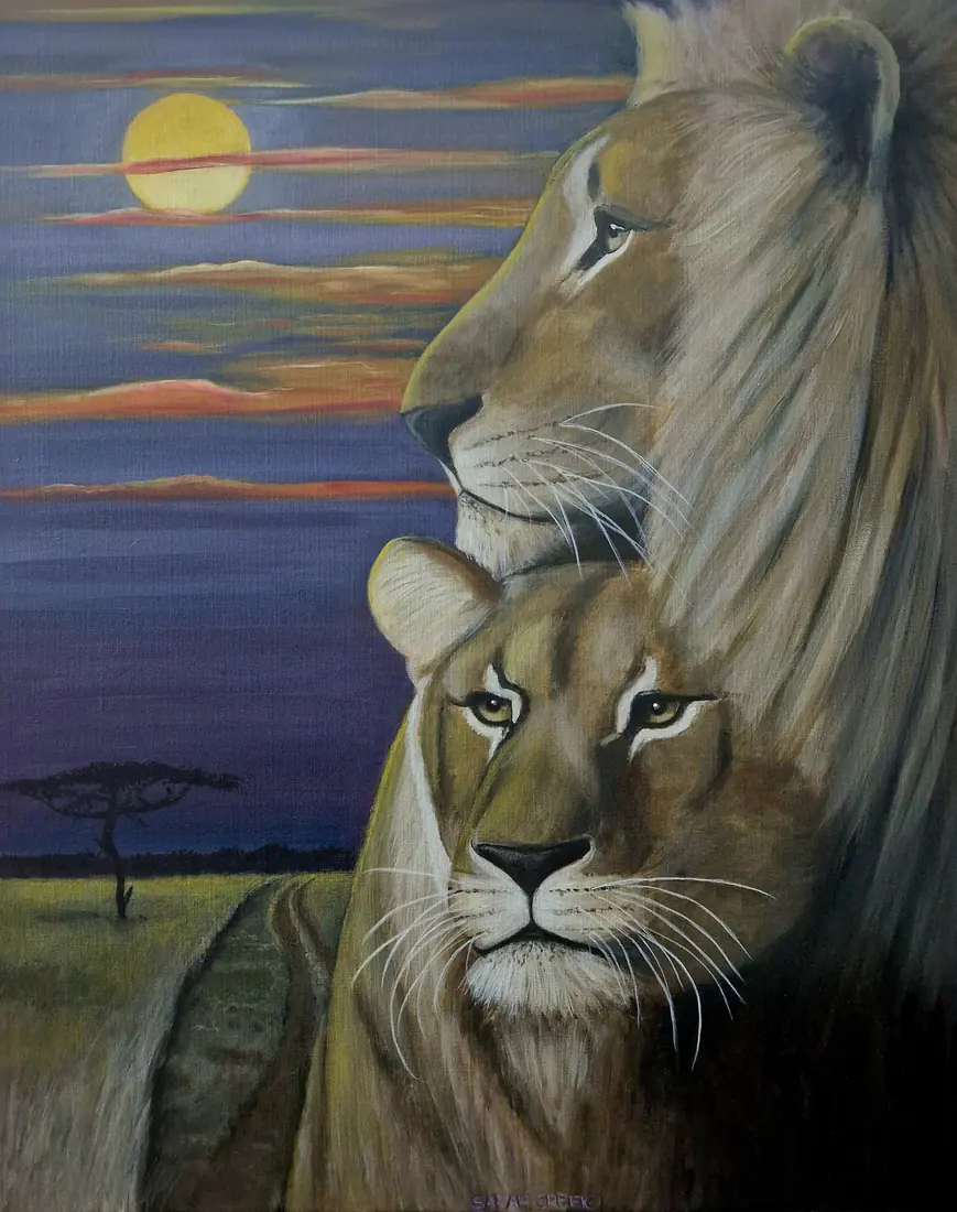 Watching the sky turn gold, Lions in Africa with a black floating frame