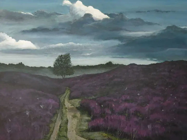 Ochtend wandeling op het Dwingelerveld, Landscape near Dwingeloo with heather in bloom