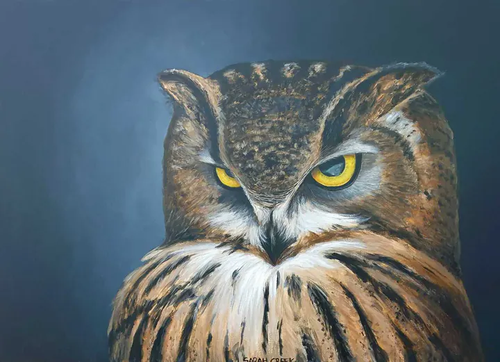 Meneer de uil, Portrait of an owl