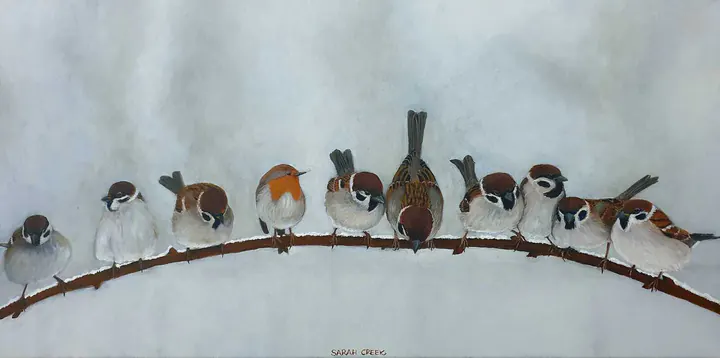Intruder, Robin among the sparrows