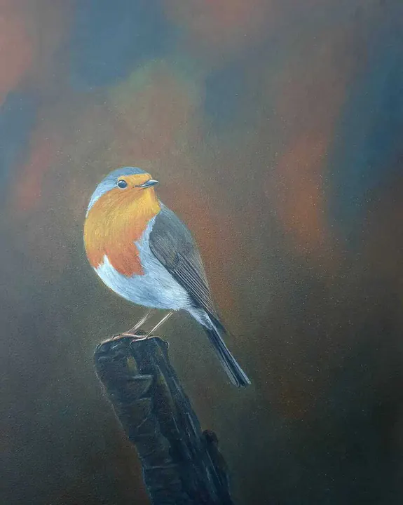 Povertje, Robin on a branch