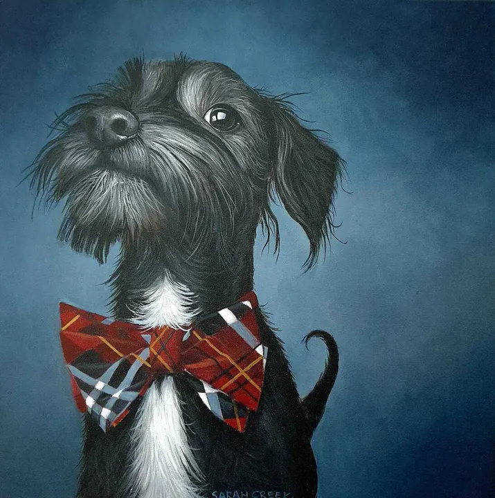 Animals, Scottie