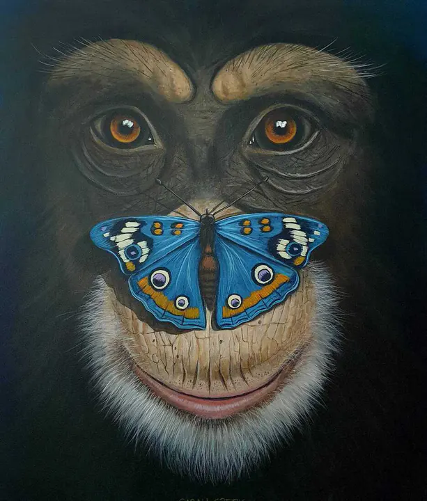 Blue Butterfly, Chimpanzee with a blue butterfly