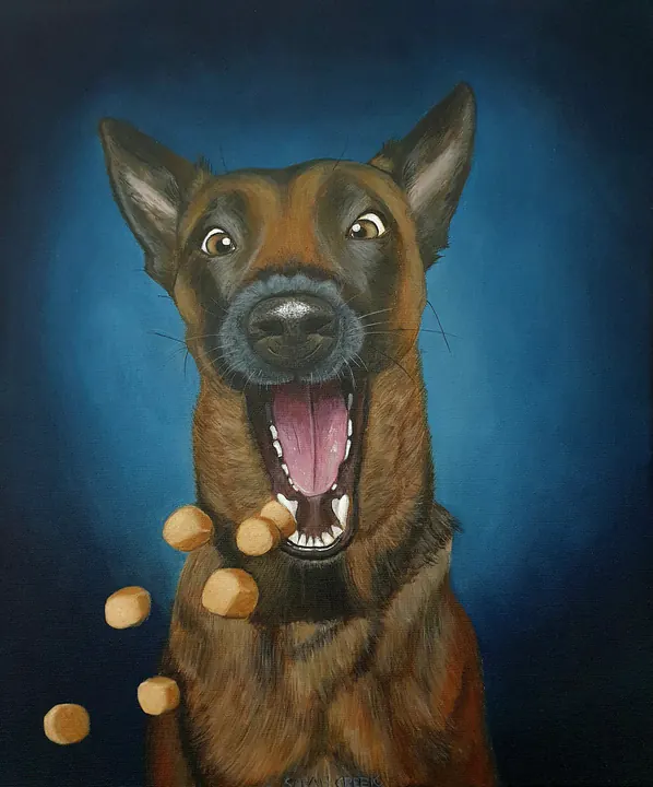 Catch the cookies, Portrait of a shepherd