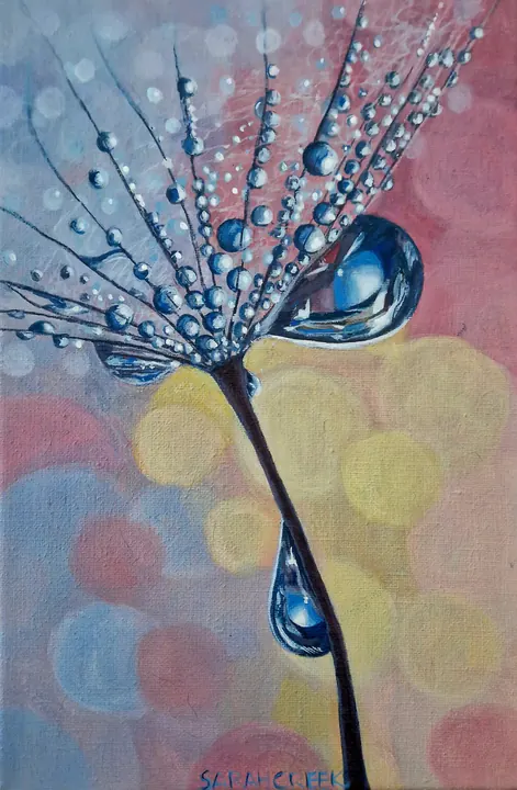 Pluisje, Dandelion seed