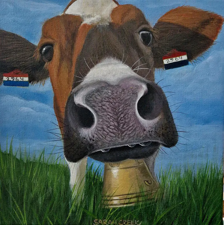 Cora 2986, Red and white cow