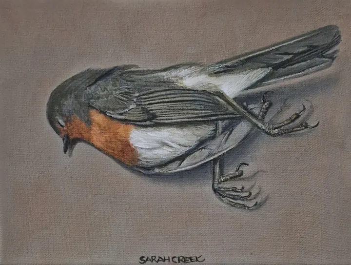 His flight never ends, Dead robin